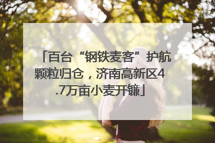 百台“钢铁麦客”护航颗粒归仓，济南高新区4.7万亩小麦开镰