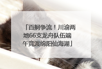 百舸争流！川渝两地66支龙舟队伍端午竞渡绵阳仙海湖