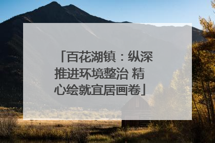 百花湖镇：纵深推进环境整治 精心绘就宜居画卷