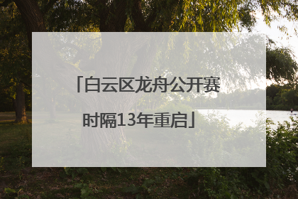 白云区龙舟公开赛时隔13年重启
