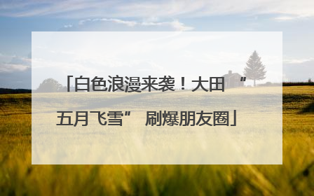 白色浪漫来袭！大田 “五月飞雪” 刷爆朋友圈