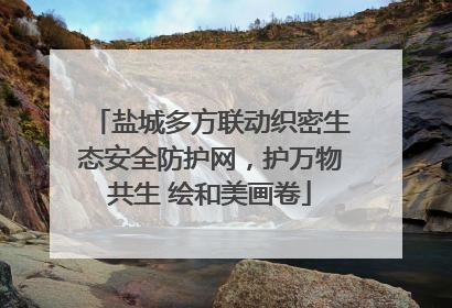 盐城多方联动织密生态安全防护网，护万物共生 绘和美画卷