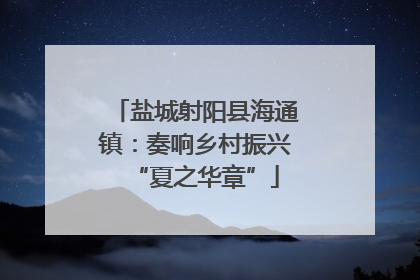 盐城射阳县海通镇：奏响乡村振兴“夏之华章”