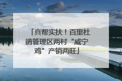 真帮实扶！百里杜鹃管理区两村“威宁鸡”产销两旺