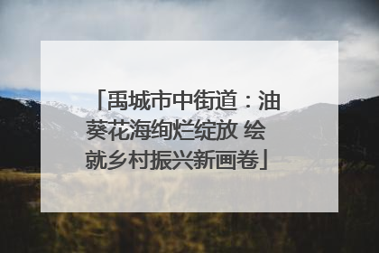 禹城市中街道：油葵花海绚烂绽放 绘就乡村振兴新画卷