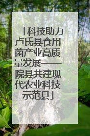 科技助力卢氏县食用菌产业高质量发展——院县共建现代农业科技示范县