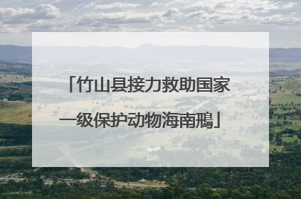 竹山县接力救助国家一级保护动物海南鳽