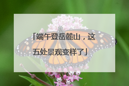 端午登岳麓山，这五处景观变样了