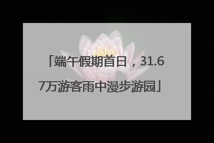 端午假期首日，31.67万游客雨中漫步游园