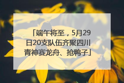 端午将至，5月29日20支队伍齐聚四川青神赛龙舟、抢鸭子