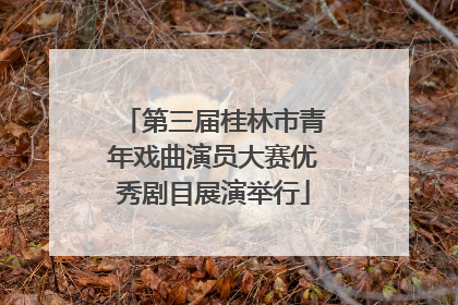 第三届桂林市青年戏曲演员大赛优秀剧目展演举行