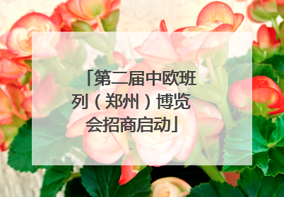 第二届中欧班列（郑州）博览会招商启动