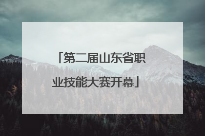 第二届山东省职业技能大赛开幕