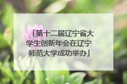 第十二届辽宁省大学生创新年会在辽宁师范大学成功举办