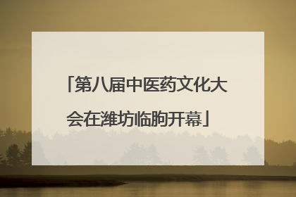 第八届中医药文化大会在潍坊临朐开幕