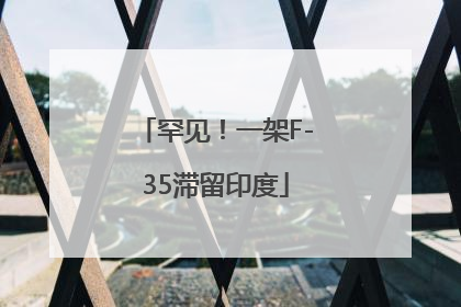 罕见！一架F-35滞留印度