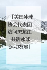 美国冰球协会代表团访问黑龙江 共话冰球运动发展