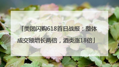 美团闪购618首日战报：整体成交额增长两倍，酒类涨18倍