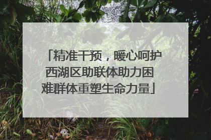 精准干预，暖心呵护 西湖区助联体助力困难群体重塑生命力量
