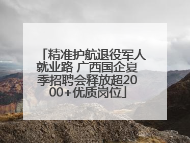 精准护航退役军人就业路 广西国企夏季招聘会释放超2000+优质岗位
