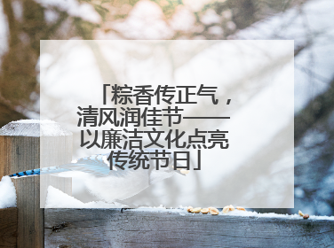 粽香传正气，清风润佳节——以廉洁文化点亮传统节日