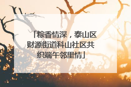 粽香情深，泰山区财源街道科山社区共织端午邻里情