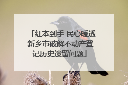 红本到手 民心暖透 新乡市破解不动产登记历史遗留问题