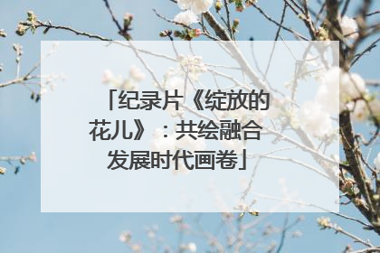 纪录片《绽放的花儿》：共绘融合发展时代画卷