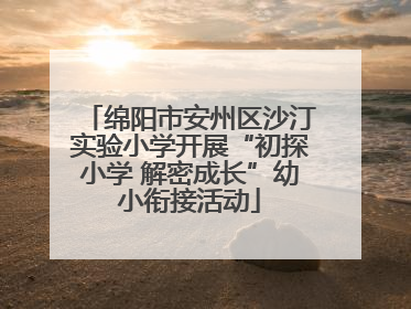 绵阳市安州区沙汀实验小学开展“初探小学 解密成长”幼小衔接活动