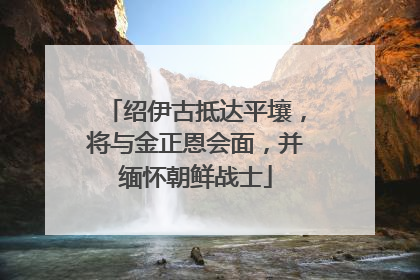 绍伊古抵达平壤，将与金正恩会面，并缅怀朝鲜战士