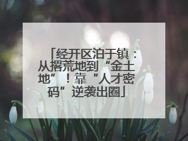 经开区泊于镇：从撂荒地到“金土地”！靠“人才密码”逆袭出圈