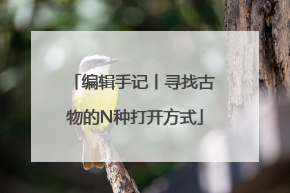 编辑手记丨寻找古物的N种打开方式