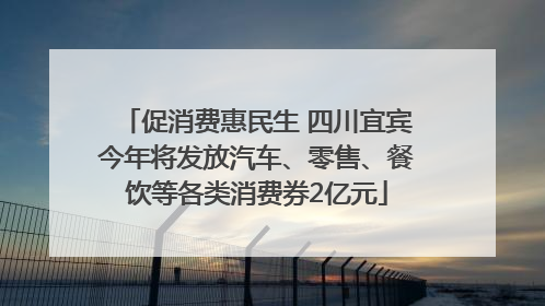 促消费惠民生 四川宜宾今年将发放汽车、零售、餐饮等各类消费券2亿元
