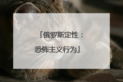 俄罗斯定性：恐怖主义行为