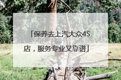 保养去上汽大众4S店，服务专业又靠谱