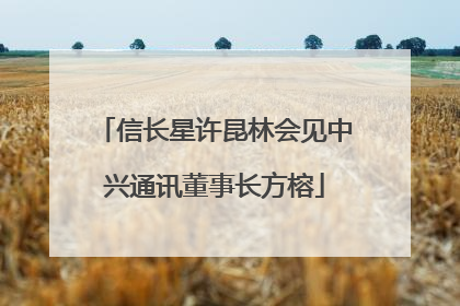 信长星许昆林会见中兴通讯董事长方榕