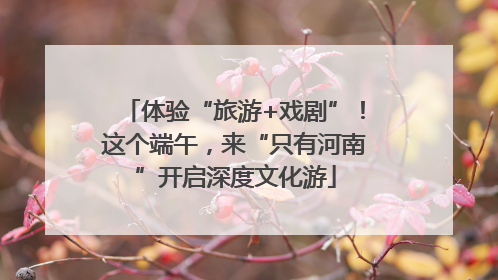 体验“旅游+戏剧”！这个端午，来“只有河南”开启深度文化游