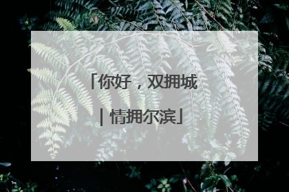 你好，双拥城｜情拥尔滨