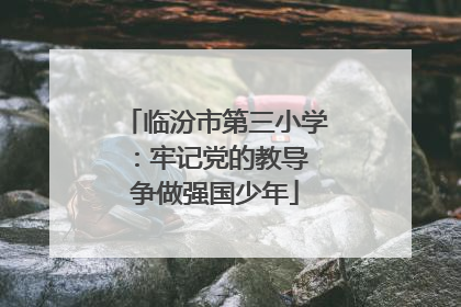 临汾市第三小学：牢记党的教导 争做强国少年