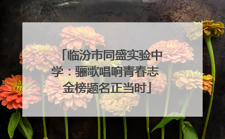 临汾市同盛实验中学：骊歌唱响青春志 金榜题名正当时