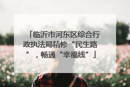 临沂市河东区综合行政执法局精修“民生路”，畅通“幸福线”
