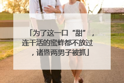 为了这一口“甜”，连干活的蜜蜂都不放过，诸暨两男子被抓