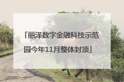 丽泽数字金融科技示范园今年11月整体封顶