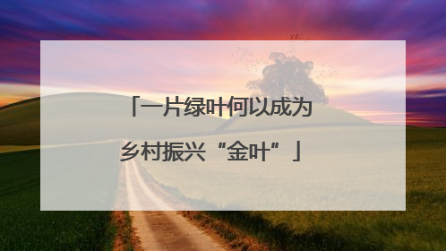 一片绿叶何以成为乡村振兴“金叶”