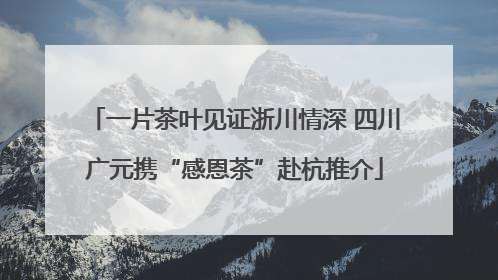 一片茶叶见证浙川情深 四川广元携“感恩茶”赴杭推介
