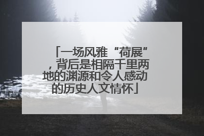 一场风雅“荷展”，背后是相隔千里两地的渊源和令人感动的历史人文情怀