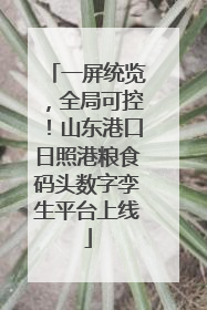 一屏统览，全局可控！山东港口日照港粮食码头数字孪生平台上线