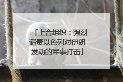 上合组织：强烈谴责以色列对伊朗发动的军事打击