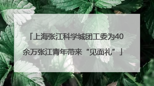 上海张江科学城团工委为40余万张江青年带来“见面礼”