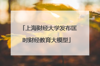上海财经大学发布匡时财经教育大模型